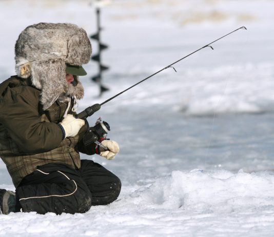 ตกปลา cover