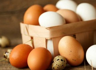 เมนูไข่ cover