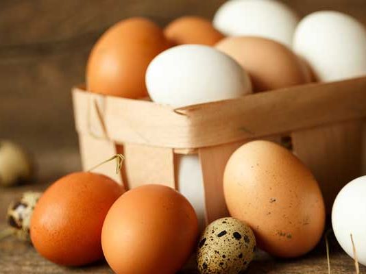 5 เมนูไข่ ง่ายแสนง่ายทำกินเองที่บ้าน เมนูไข่ cover