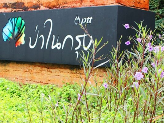 ป่าในกรุง cover