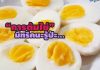 ต้มไข cover