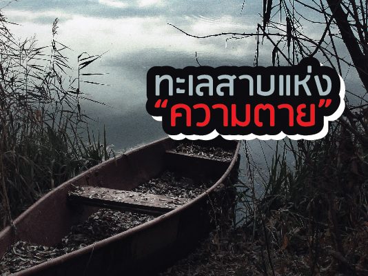 ทะเลสาบ cover